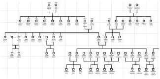 Costruire un albero genealogico con Microsoft Excel