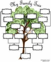 Costruire un albero genealogico con Microsoft Excel